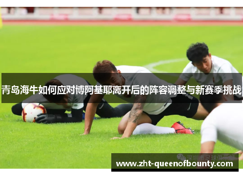 青岛海牛如何应对博阿基耶离开后的阵容调整与新赛季挑战